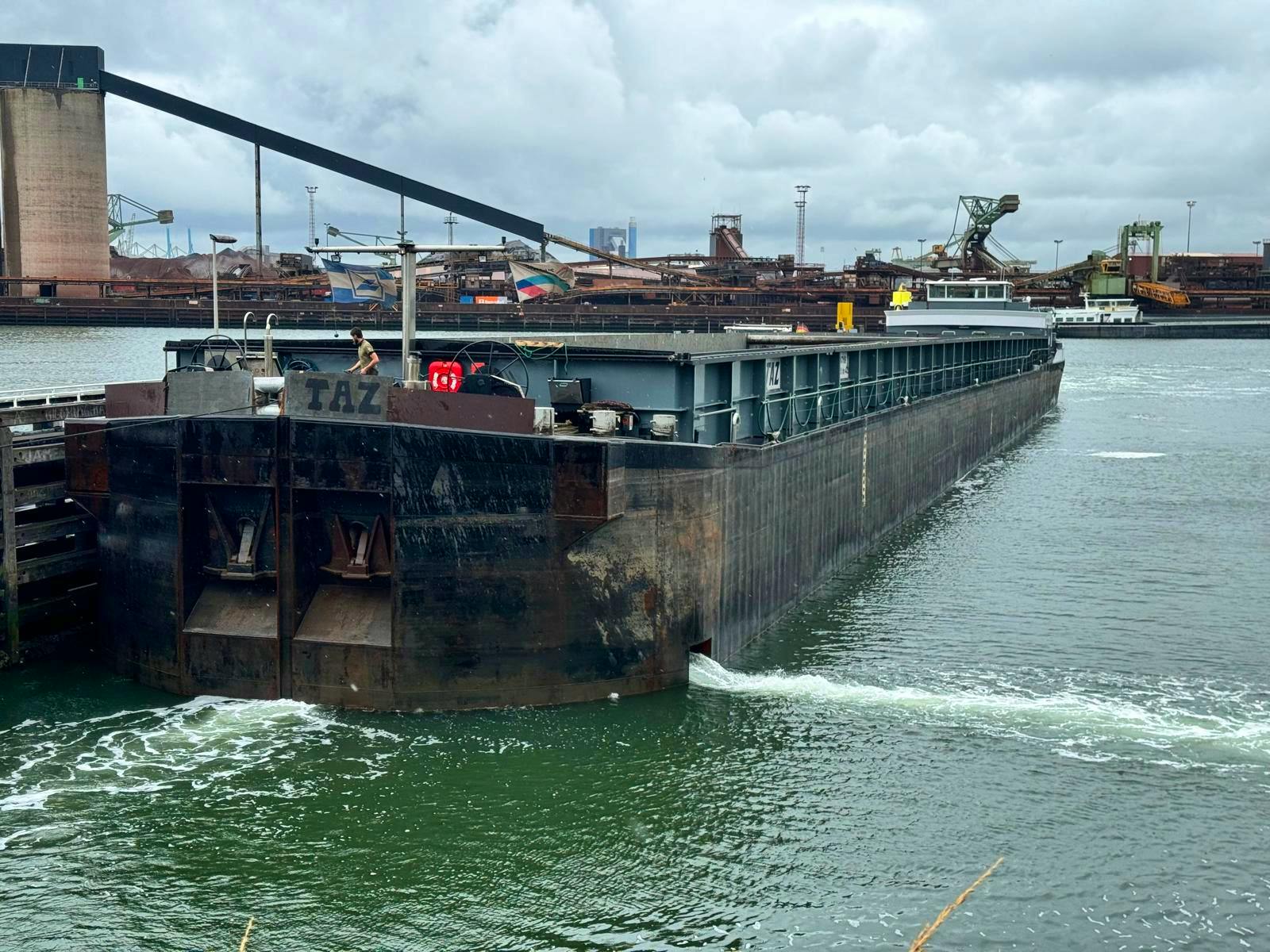 Taz II — thumbnail 2